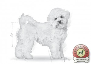 royal canin bichon frise ad 19051-003